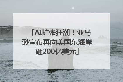 AI扩张狂潮！亚马逊宣布再向美国东海岸砸200亿美元