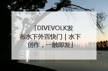 DIVEVOLK发布水下外置快门｜水下创作，一触即发