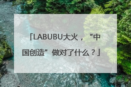 LABUBU大火，“中国创造”做对了什么？