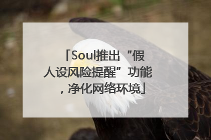 Soul推出“假人设风险提醒”功能，净化网络环境