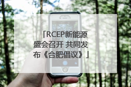 RCEP新能源盛会召开 共同发布《合肥倡议》